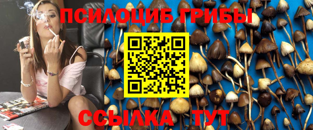 Галлюциногенные грибы Cubensis Соликамск