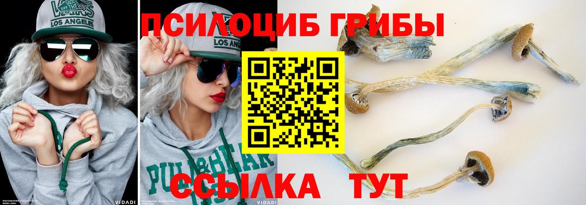 Галлюциногенные грибы MAGIC MUSHROOMS  Вход с VPN  Соликамск  Псилоцибиновые грибы Magic Shrooms 